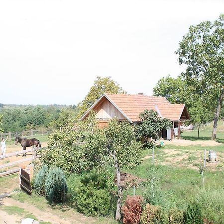 Farmica, Bed&Breakfast, Bazen Izdvojen Nekoliko Minuta Hoda Casa de hóspedes Ðurđevac Quarto foto