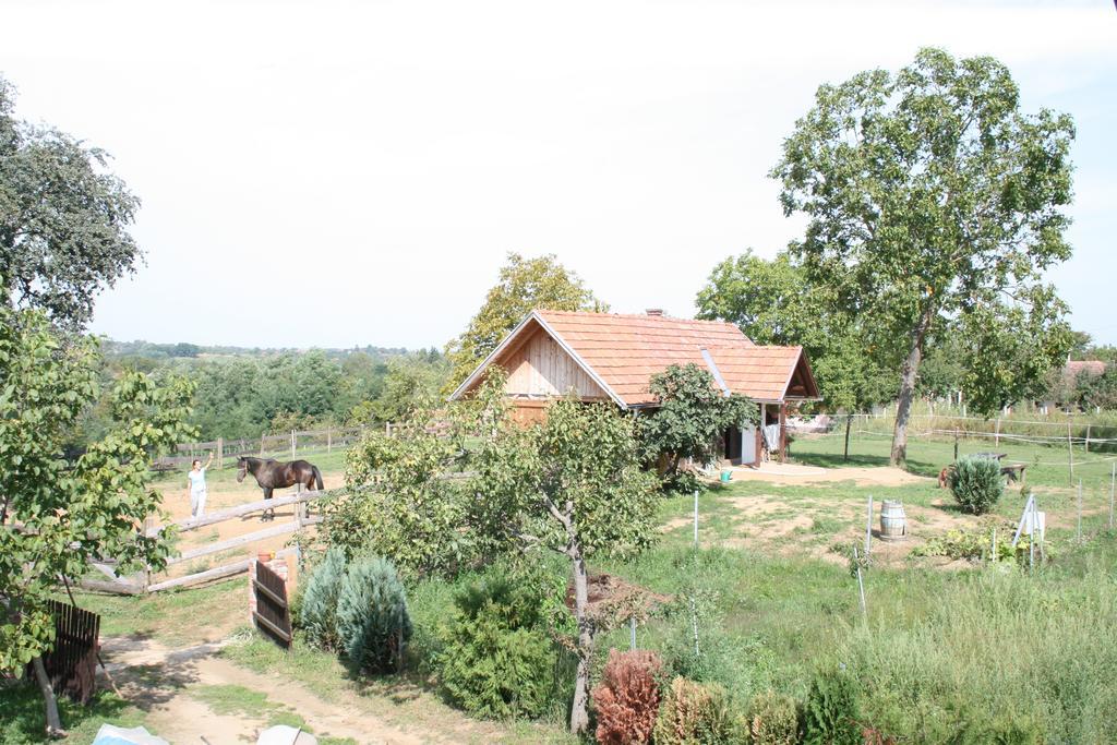 Farmica, Bed&Breakfast, Bazen Izdvojen Nekoliko Minuta Hoda Casa de hóspedes Ðurđevac Quarto foto