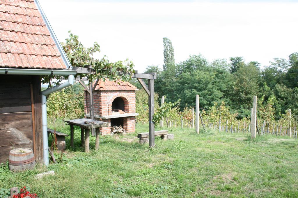 Farmica, Bed&Breakfast, Bazen Izdvojen Nekoliko Minuta Hoda Casa de hóspedes Ðurđevac Quarto foto