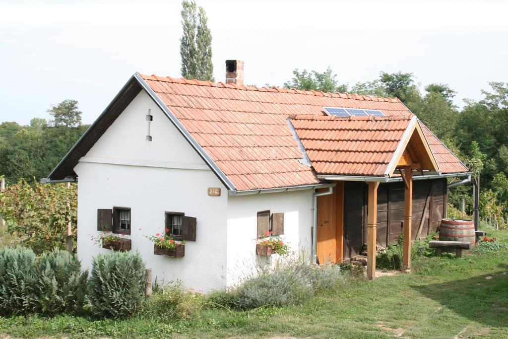 Farmica, Bed&Breakfast, Bazen Izdvojen Nekoliko Minuta Hoda Casa de hóspedes Ðurđevac Quarto foto