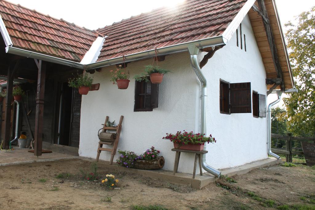 Farmica, Bed&Breakfast, Bazen Izdvojen Nekoliko Minuta Hoda Casa de hóspedes Ðurđevac Quarto foto