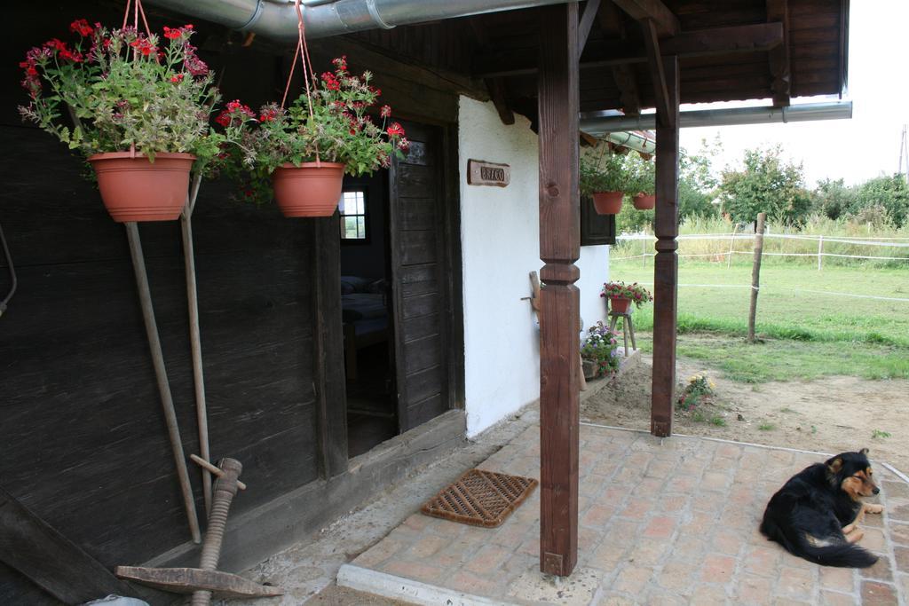 Farmica, Bed&Breakfast, Bazen Izdvojen Nekoliko Minuta Hoda Casa de hóspedes Ðurđevac Exterior foto