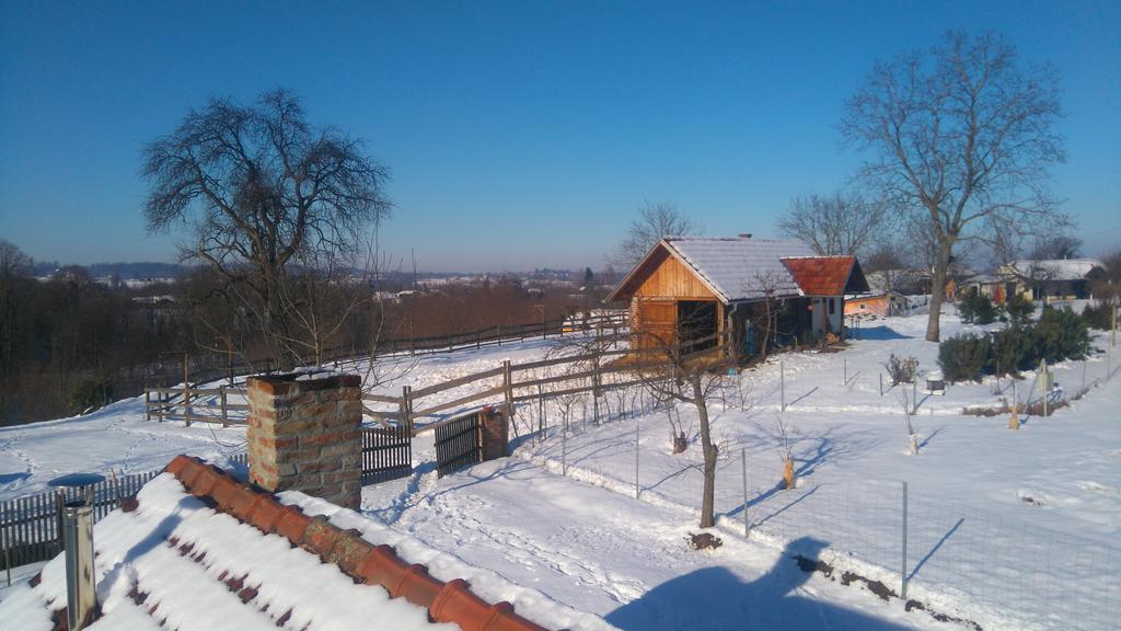 Farmica, Bed&Breakfast, Bazen Izdvojen Nekoliko Minuta Hoda Casa de hóspedes Ðurđevac Exterior foto